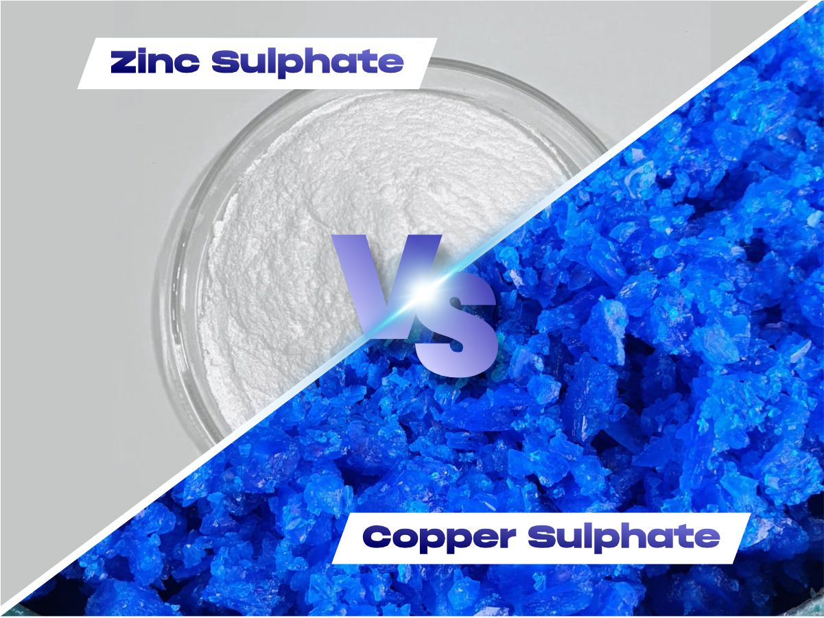 Zinc Sulphate vs Copper Sulphate: Complete Guide 2026
